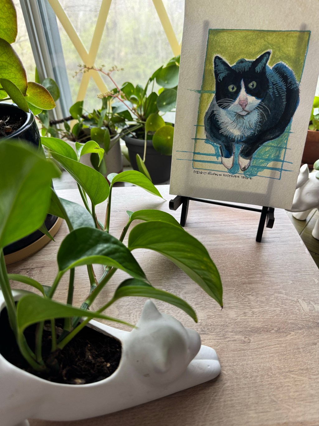 First 30 Free Pet Portraits&nbsp;Project